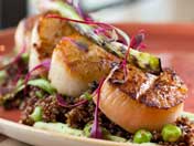 Seafood food